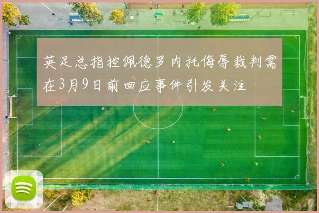 英足总指控佩德罗内托侮辱裁判需在3月9日前回应事件引发关注