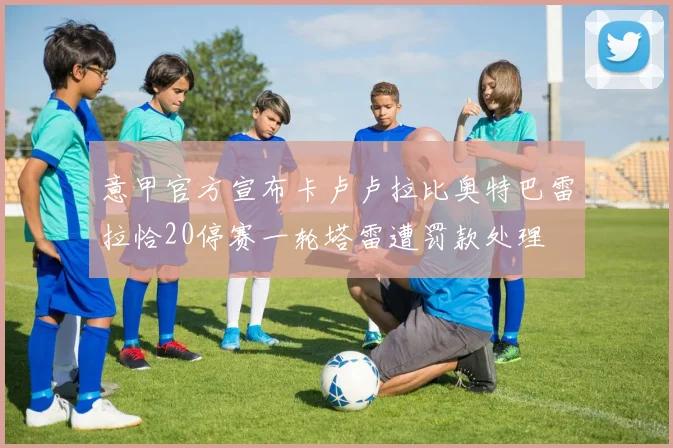 意甲官方宣布卡卢卢拉比奥特巴雷拉恰20停赛一轮塔雷遭罚款处理