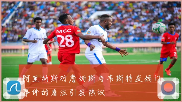 阿里纳斯对詹姆斯与韦斯特友妈门事件的看法引发热议