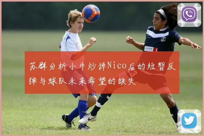 苏群分析小牛炒掉Nico后的短暂反弹与球队未来希望的缺失