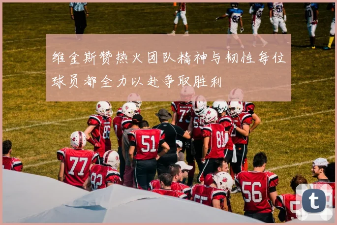 维金斯赞热火团队精神与韧性每位球员都全力以赴争取胜利